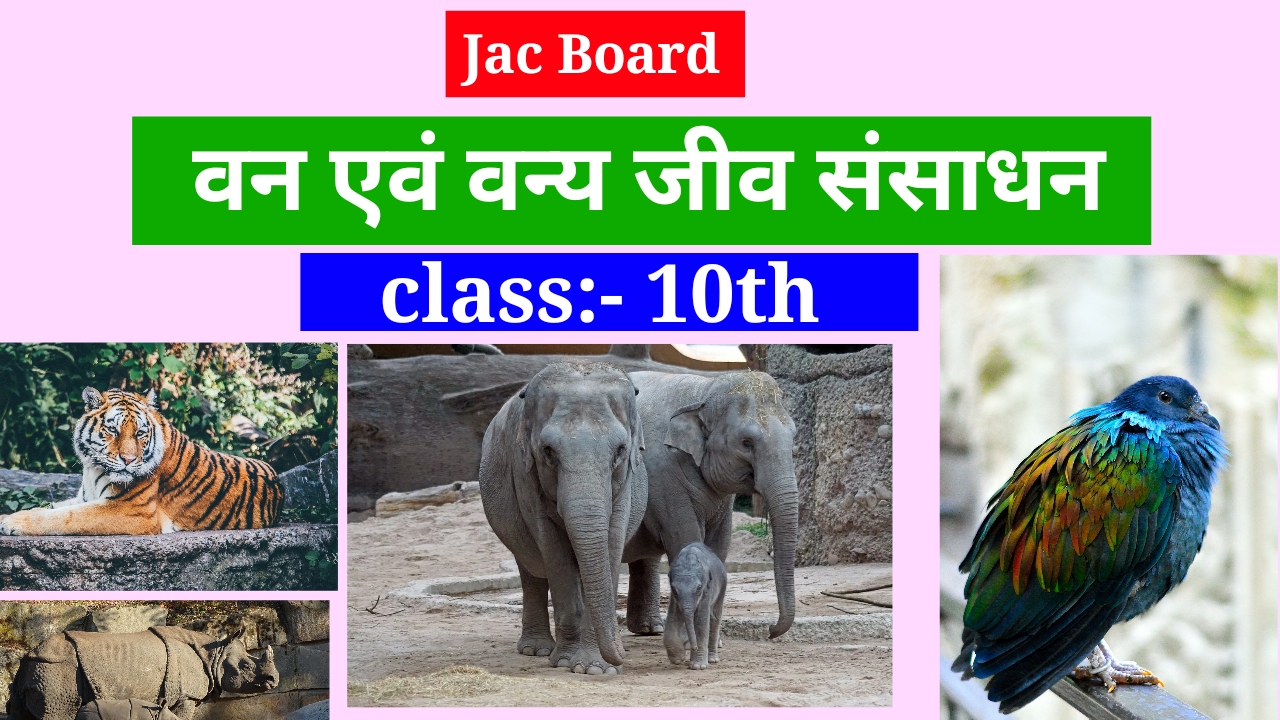 Sikkim Animals Name In Hindi Sikkim Animals Name In